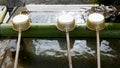 Temizuya water purification basin at Bentendo Temple, Ueno Park