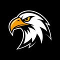 Eagle head mascot logo vector Royalty Free Stock Photo