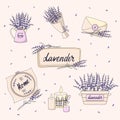 Lavender vector card with isolated objects