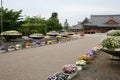 Temole in Nara