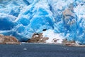 Tempano Glacier within Bernardo O`Higgins National Park in Chile Royalty Free Stock Photo