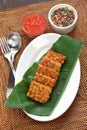 Tempe goreng, fried tempeh, indonesian vegetarian food