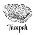 Tempeh . Vector black vintage engraved illustration on white background.