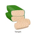 Tempeh is wrapped in banana leaves - Soybean product - vector illustration isolated on white background
