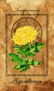 Temperance. Major Arcana tarot card with Chrysanthemum and magic seal