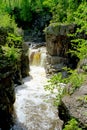 Temperancee river, spring Royalty Free Stock Photo