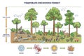 Temperate deciduous forest tree and shrub foliage description outline diagram