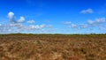 Temperate grassland near Cervantes