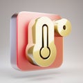 Temperature High icon. Golden Temperature High symbol on red matte gold plate