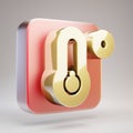 Temperature Low icon. Golden Temperature Low symbol on red matte gold plate