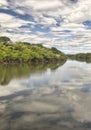 Tempisque River, Costa Rica Royalty Free Stock Photo