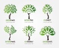 Variety of nature tree emblems