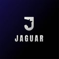 Initial Letter J Jaguar Leopard Tiger Cheetah Logo Design Vector Royalty Free Stock Photo