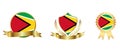 Guyana Flag icon . web icon set . icons collection flat. Simple vector illustration. Royalty Free Stock Photo
