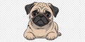 Cute Sitting Pug Dog Cartoon Minimal Illustration Royalty Free Stock Photo