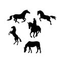 Set of black horse silhouette vector illustration Royalty Free Stock Photo