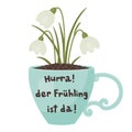 `Hurra! der FrÃÂ¼hling ist da!` German lettering on a cup with snowdrops flowers. Royalty Free Stock Photo