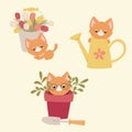 Three cute kittens with garden equipment: watering can, flower pot and a bucket with flowers Royalty Free Stock Photo