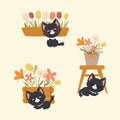 Three cute kittens with garden equipment and flowers. Gardening concept