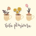 Spring lettering in Spanish `Hola Primavera`, in English, means `Hello Spring`