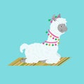 Llama sitting on a traditional carpet. Animal character design.