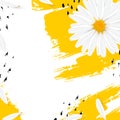 Template background with realistic chamomile