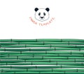 Template with bamboo. Japanese background. Bamboo and panda