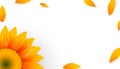 Template banner with realistic sunflower and yellow petals