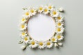 template blank round picture frame mockup on white background surrounded by daisies flowers Royalty Free Stock Photo