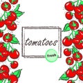 Template with cherry tomatoes vector illustration.