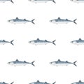 Mackerel. Commercial Fish species. Royalty Free Stock Photo