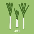 Cartoon Leek.Vegetables, vegetarian, healthy food.