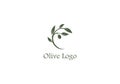 Template Creative Logo Olive