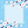 Template design for invitation, banner, card, poster, flyer with cherry blossom. Place for your text. Spring flowers. Vector Royalty Free Stock Photo