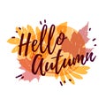 Template design of logos, stamps, badges, labels Hello, Autumn. Fall season banner on colored silhouette autumnal herb