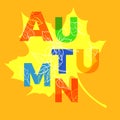 Template of different autumn letters and leaves. Vector