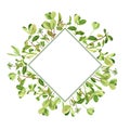 Template with drawing clover leaves