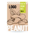 Beautiful vector hand drawn peanut organic nut.ÃÂ 