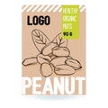 Beautiful vector hand drawn peanut organic nut.ÃÂ 