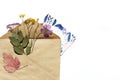 A template with envelope, postcard and flowers Royalty Free Stock Photo