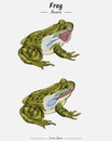 Frog Respiratory system on nostril and mouth illustration