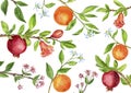 Template with fruit tree branches, leaves, flowers and berries