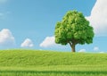 Template Green meadow 1 tree - 6000px Royalty Free Stock Photo