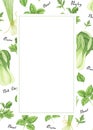 Template of green vegetables with lettering: onion, parsley, basil and bok choy, watercolor painting.