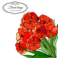 Template for invitation or greeting card of blossoming red tulip flowers. Hand drawn ink and colored sketch on white background Royalty Free Stock Photo