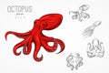 Template for logos, labels and emblems with outline silhouette octopus. Vector illustration. Royalty Free Stock Photo