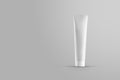 Template of a long tube with a cap for lotion isolated on background