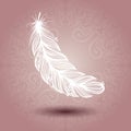 Template with Peerless Feather in Ornate Background