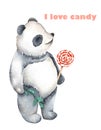 Template of postcard with watercolor illustration panda and lollipop Royalty Free Stock Photo