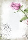 A template with rose buds for a banner, invitation, postcard.
